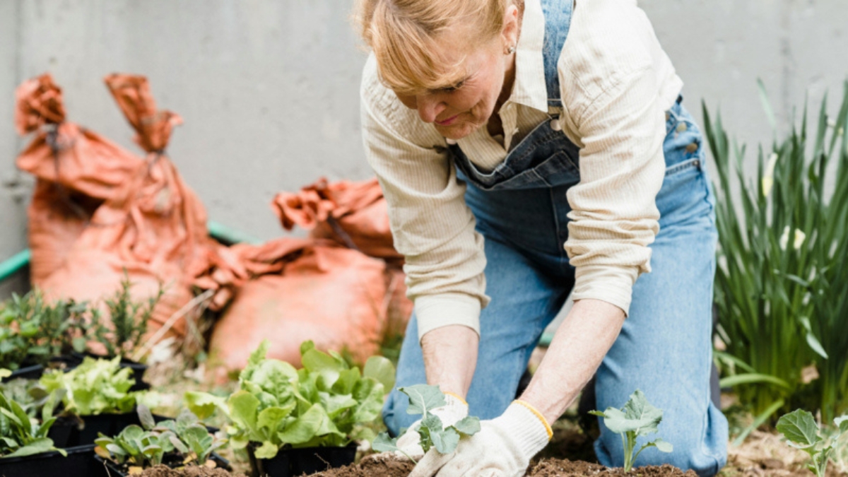 Gardening Tips for Seniors Newport News, VA | The Chesapeake